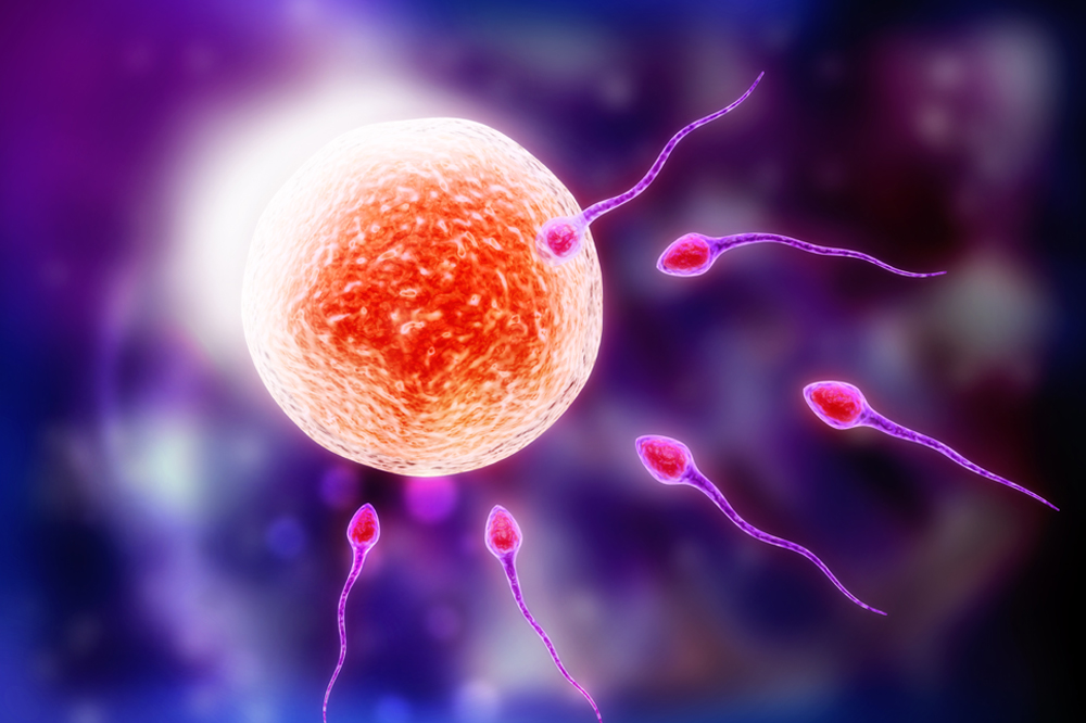 dr deepali luthra chawla hospital Jalandhar